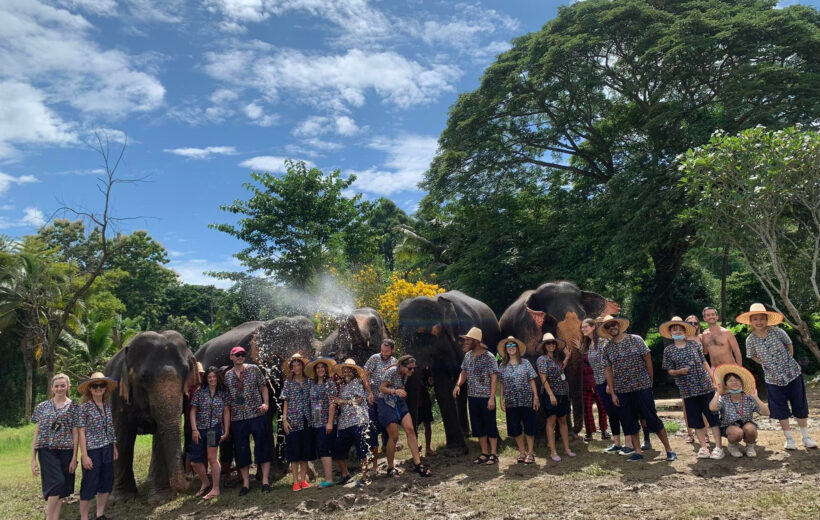 Mae Rim Elephant Sanctuary Half Day