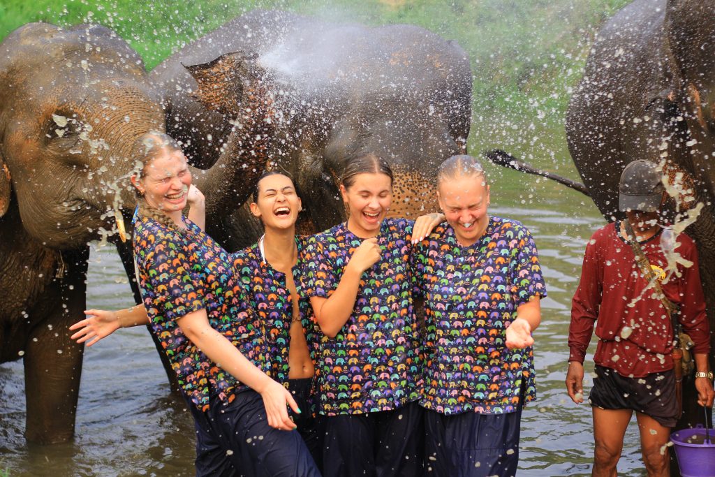 Sticky Elephant Multi Activity Day Tour - Sticky Waterfall - Elephant Sanctuary