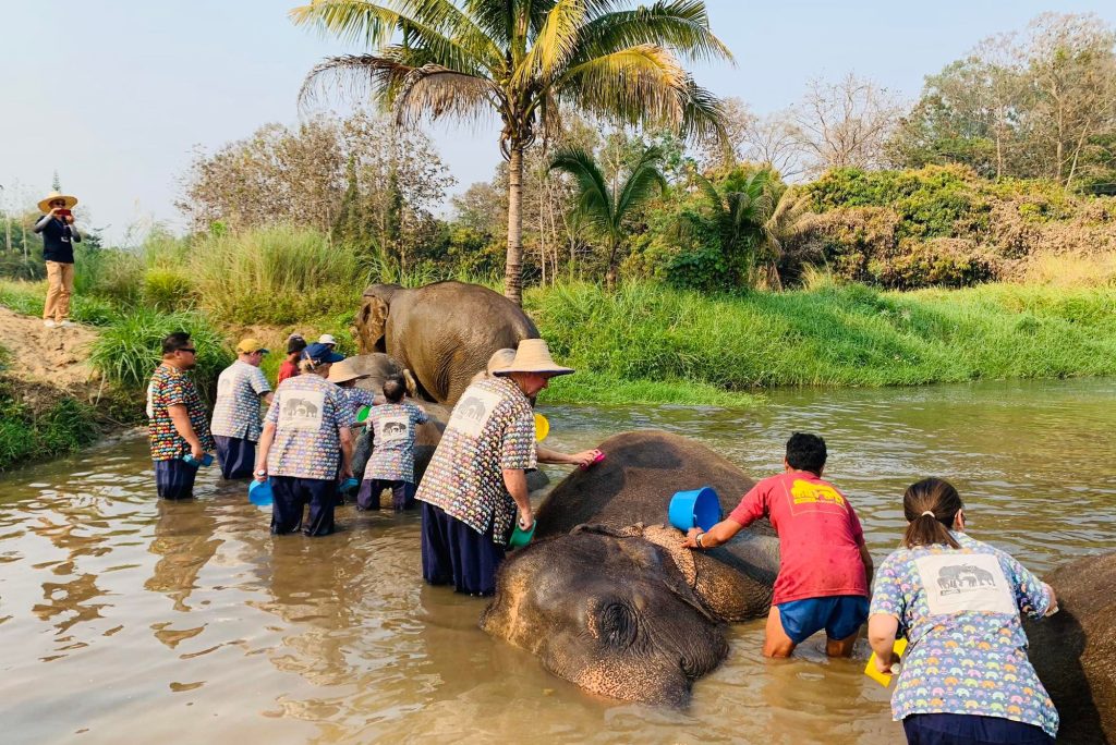 Sticky Elephant Multi Activity Day Tour - Sticky Waterfall - Elephant Sanctuary