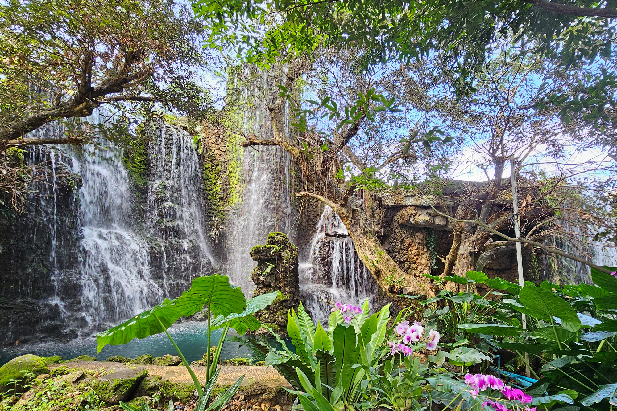 Sticky Elephant Multi Activity Day Tour - Sticky Waterfall - Elephant Sanctuary
