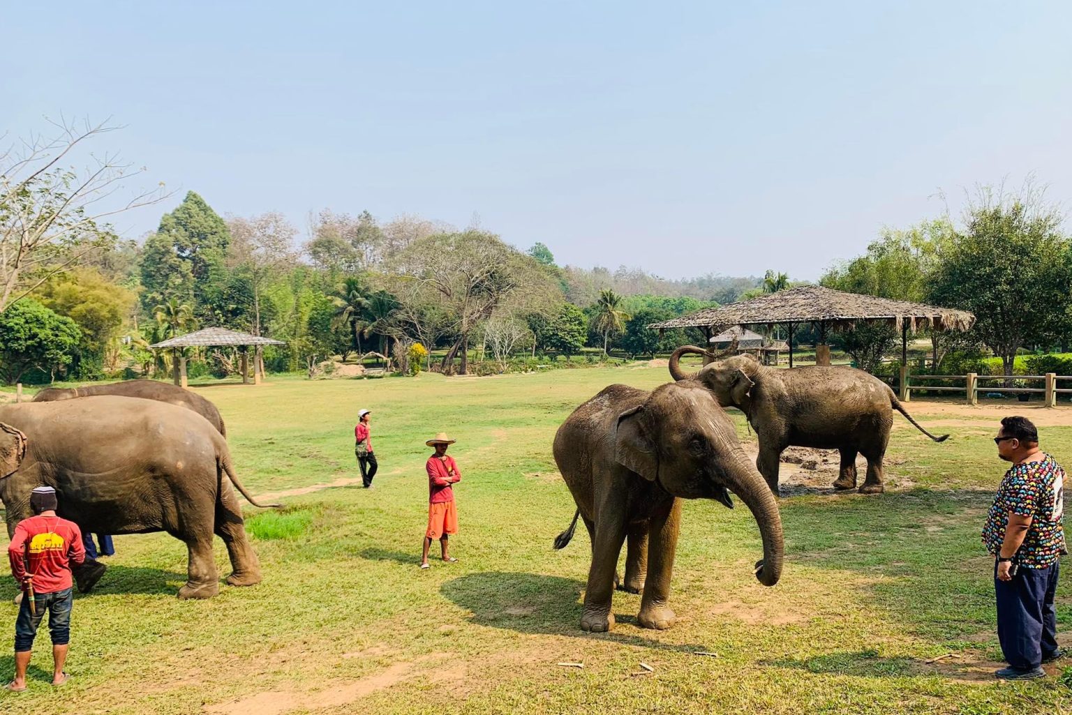 Sticky Elephant Multi Activity Day Tour - Sticky Waterfall - Elephant Sanctuary