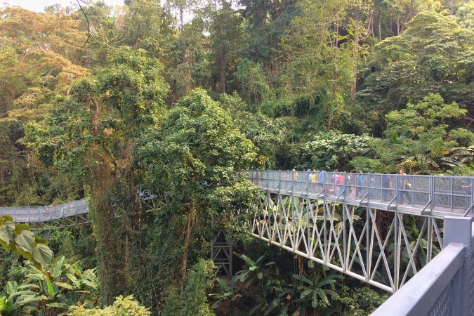 Queen Sirikit Botanical Garden