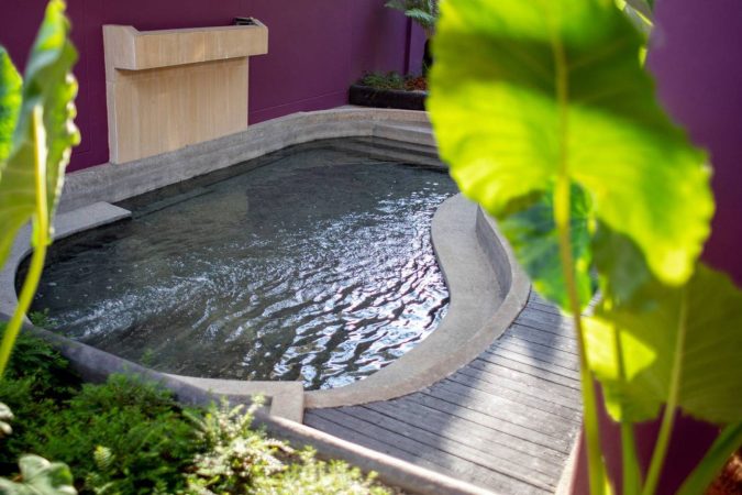 Hot Spring Tour Chiang Mai