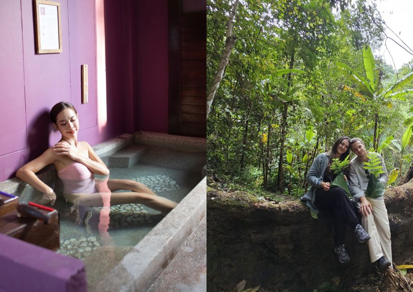 Jungle Wellness