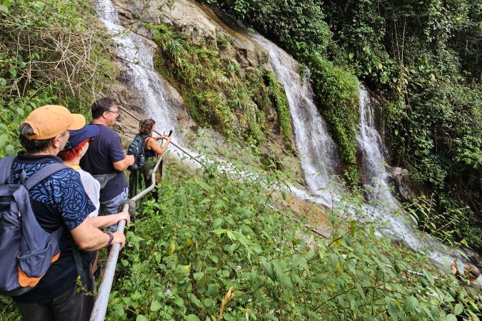 Wellness Tour in Chiang Mai