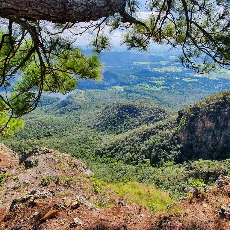 Doi Nangmo Hike