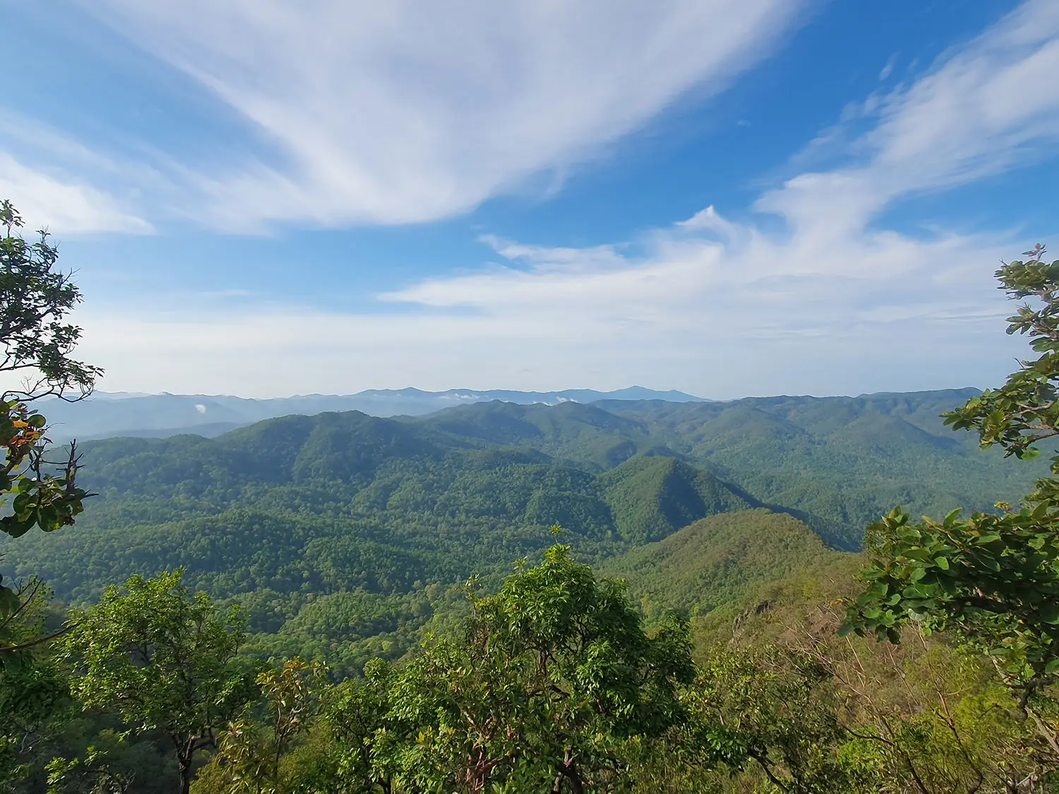View from the summit