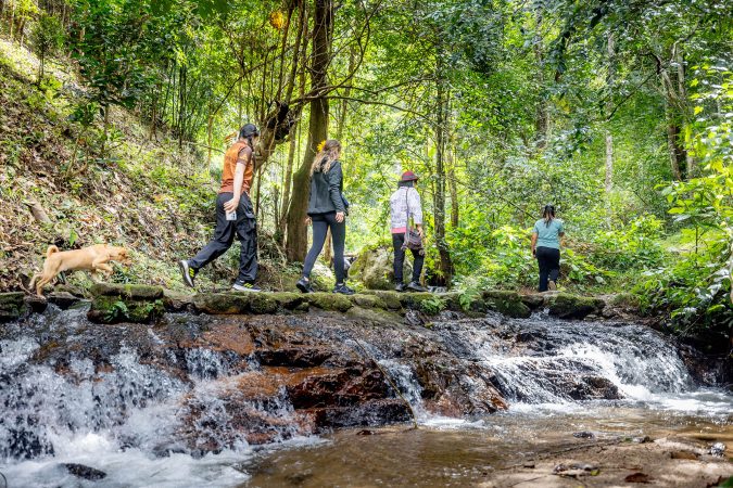 Chiang Mai Nature Tour