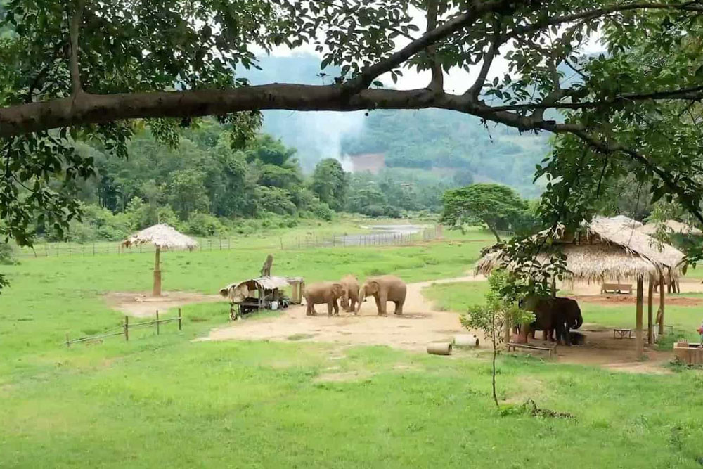 Elephant Nature Park