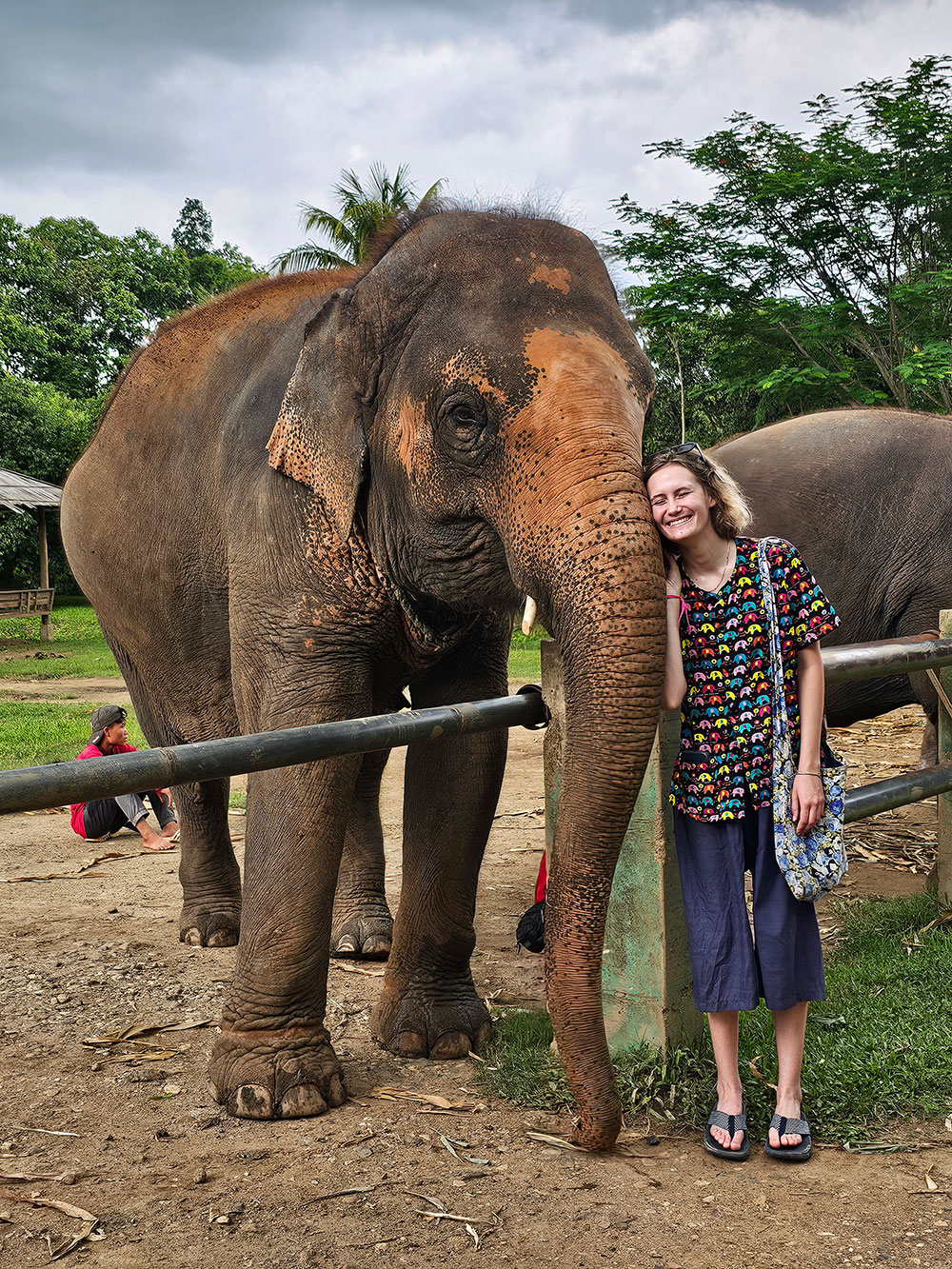 Kanta Elephant Sanctuary