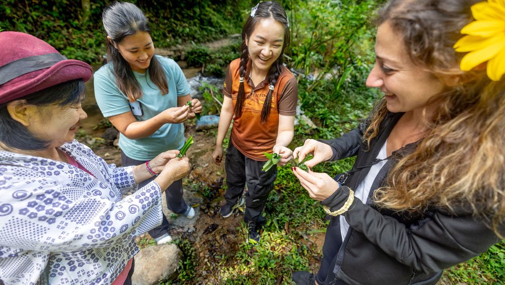Tours in Northern Thailand