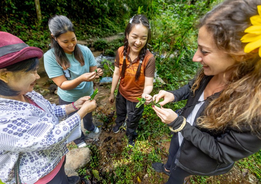 Tours in Northern Thailand